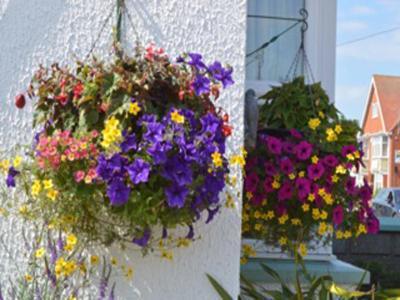 White Heather Guest House مابليتورب المظهر الخارجي الصورة