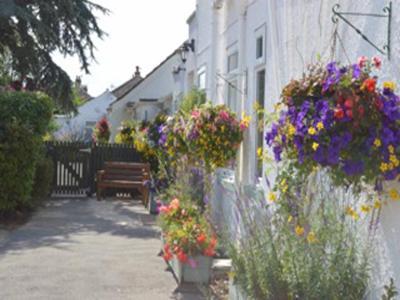White Heather Guest House مابليتورب المظهر الخارجي الصورة